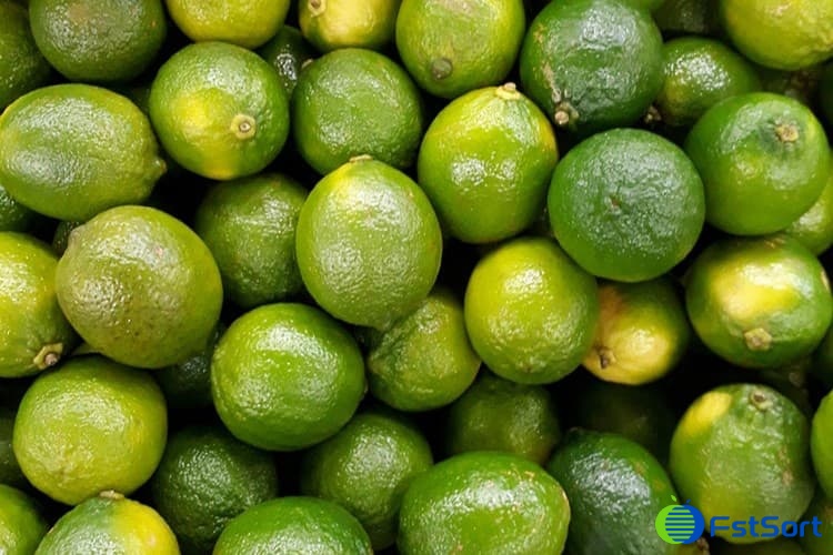 limes limes