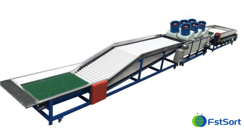 lime sorter lime sorter