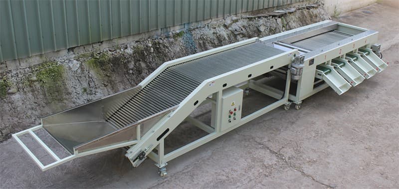 Chocolate Beans sorting grading machine