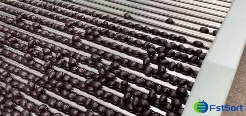 Chocolate-sorting Chocolate-sorting