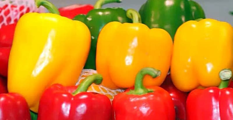bell-peppers