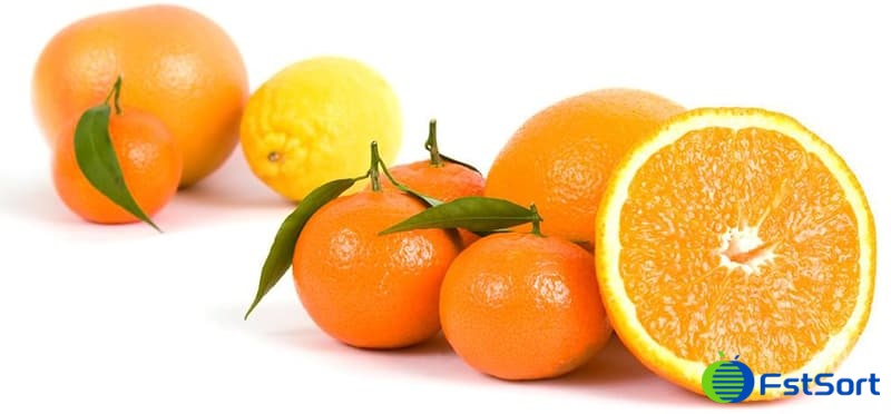 images/1609138740287citrus.jpg