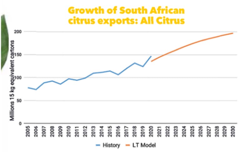 citrus exports of South Africa