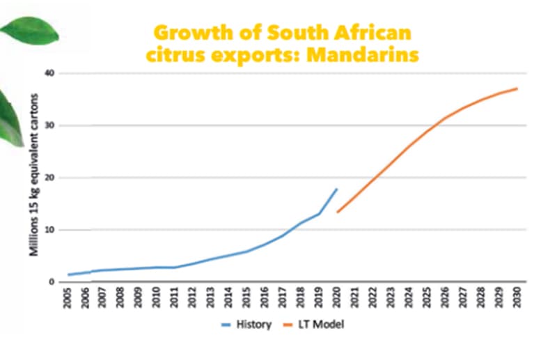 mandarins export