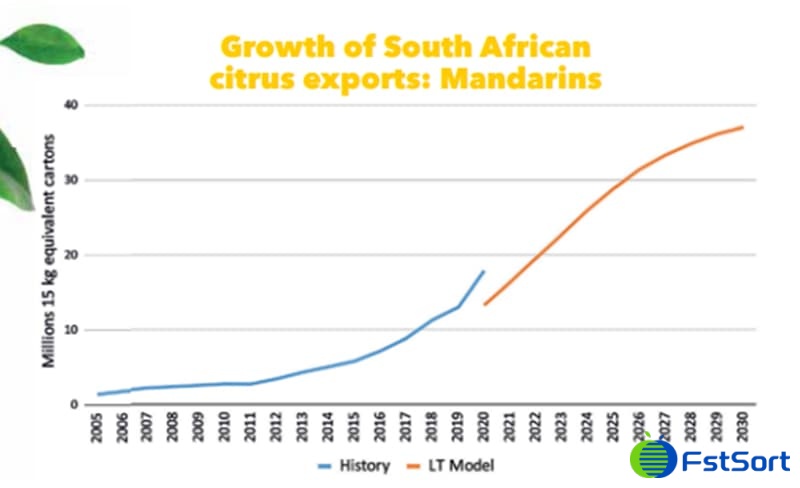 mandarins export mandarins export