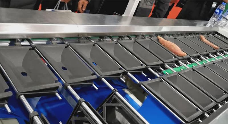 sweet-potato-weight-sorter