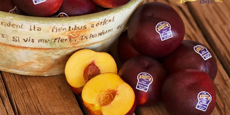 stone fruits