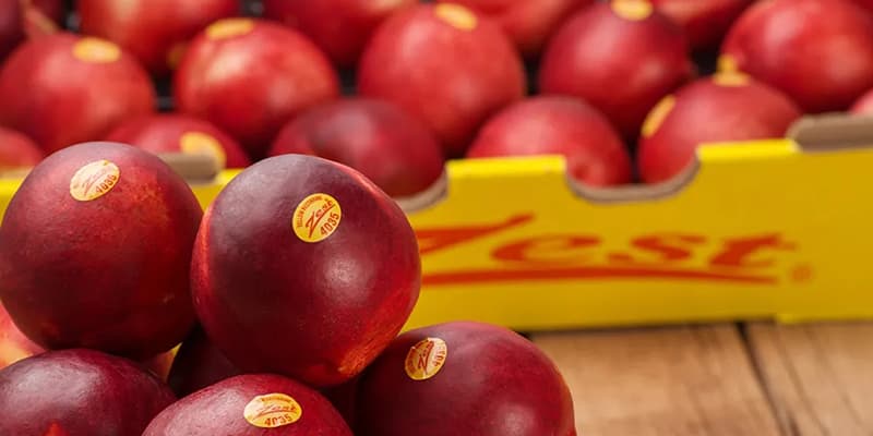 stone fruits
