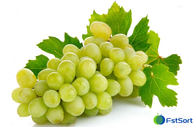 images/1610437459145fresh-grapes.jpg