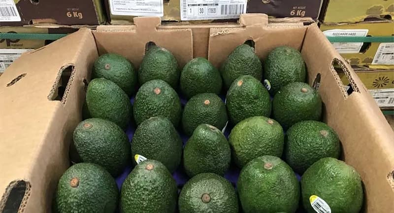 images/1610609167788avocados.jpg
