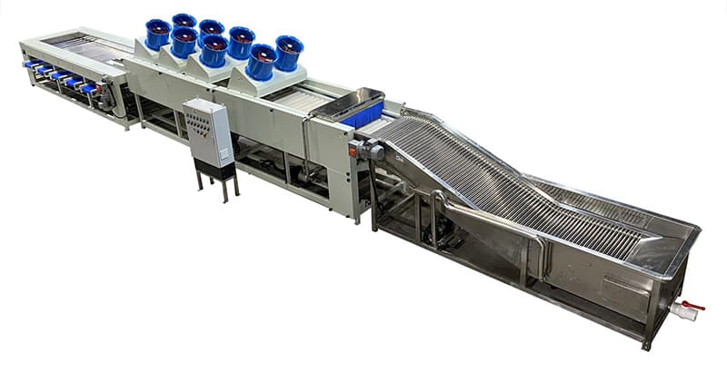 lemon-cleaning-sorting-line