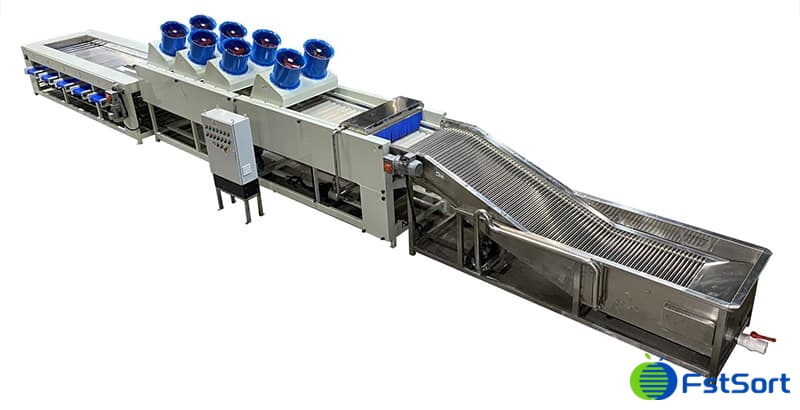 lemon-cleaning-sorting-line lemon-cleaning-sorting-line