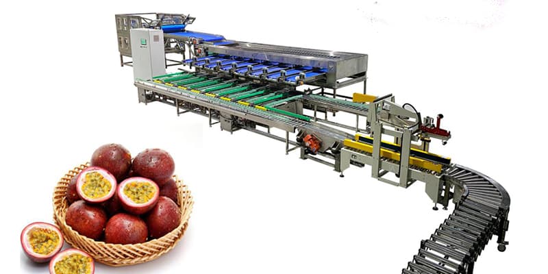 passion-fruit-sorting-packing-machine