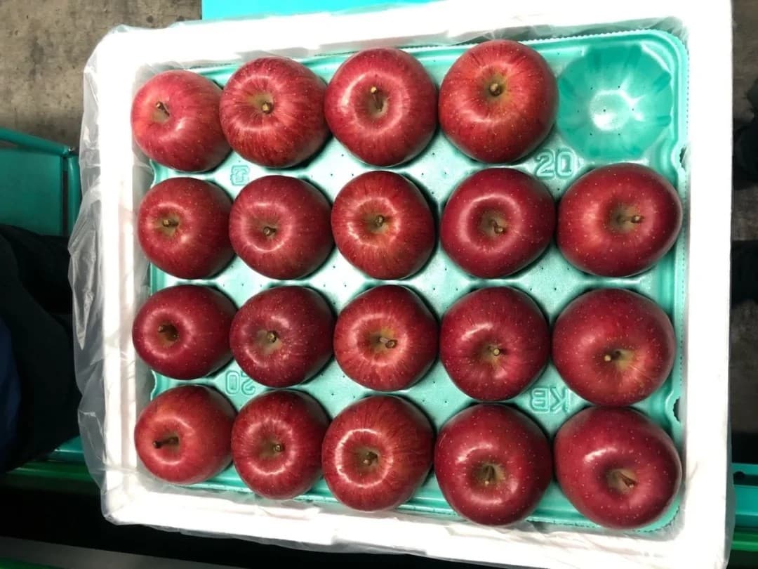 Ten secrets of Fuji apples