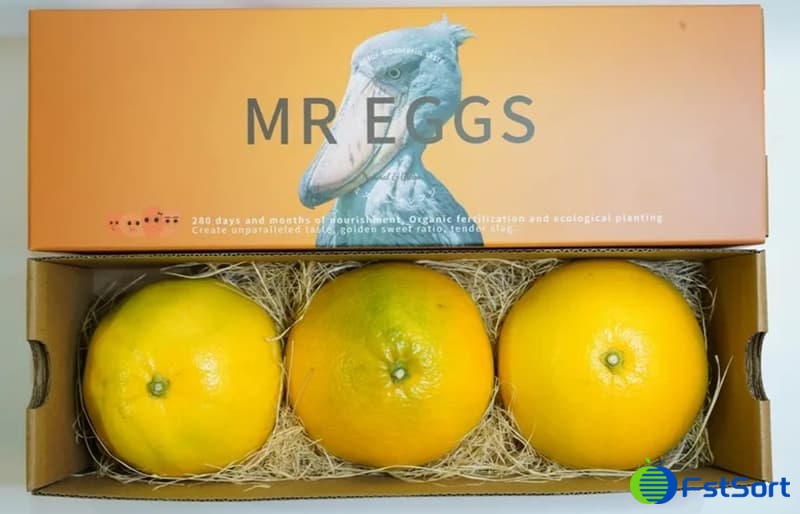 packing-of-grapefruit packing-of-grapefruit