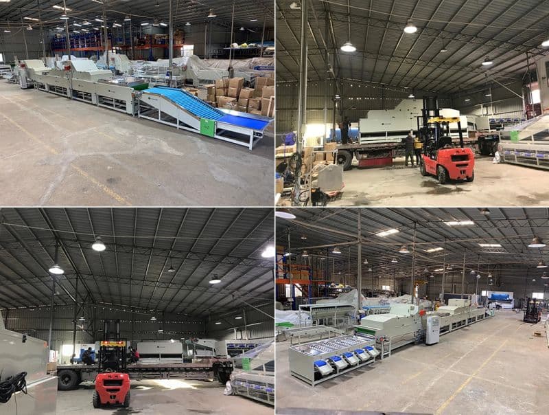 mandarin sorting waxing line
