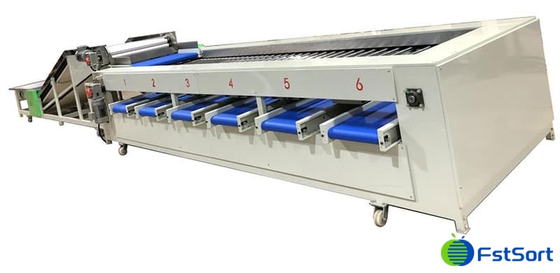 tree-tomato-grader tree-tomato-grader