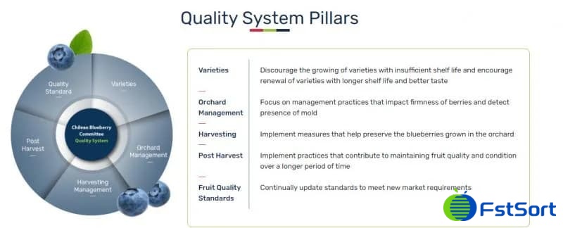 blueberry-sorting blueberry-sorting
