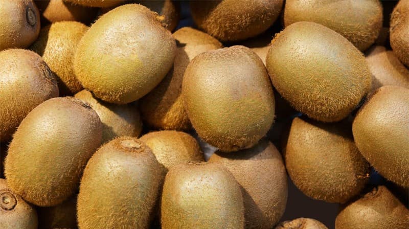 kiwifruits