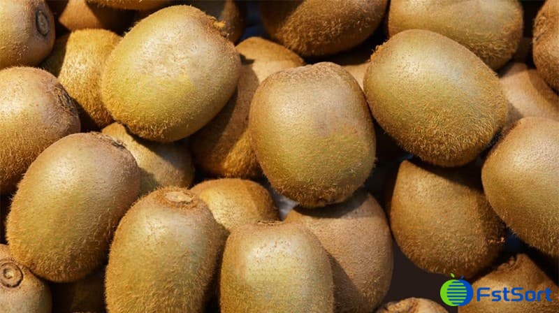 kiwifruits kiwifruits