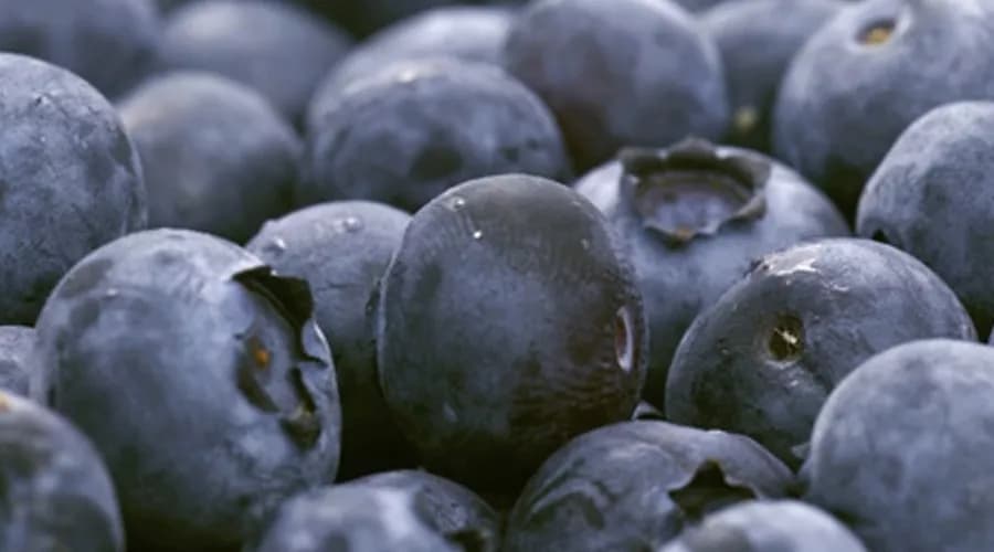 blueberries