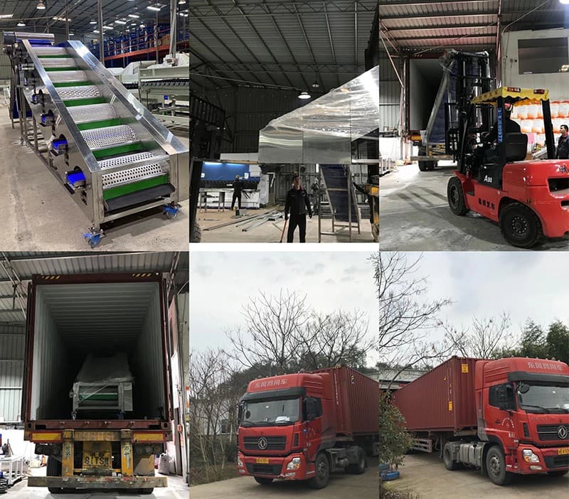 loading-of-Macadamia-sizer