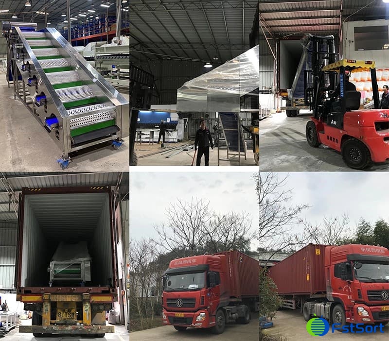 loading-of-Macadamia-sizer loading-of-Macadamia-sizer