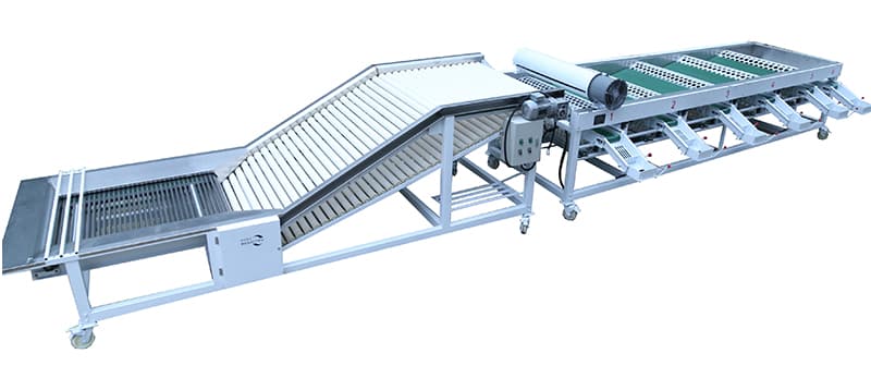 onion-sizer