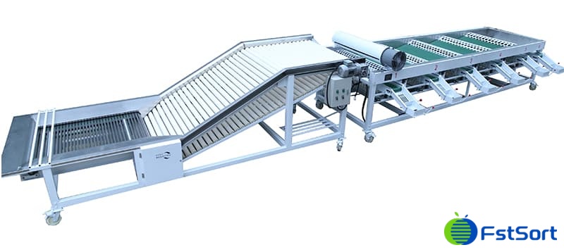 onion-sizer onion-sizer