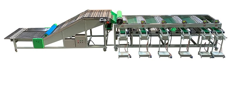 garlic-packing-machine