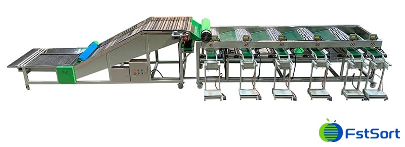 garlic-packing-machine garlic-packing-machine