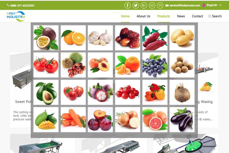 fruit-processing-line