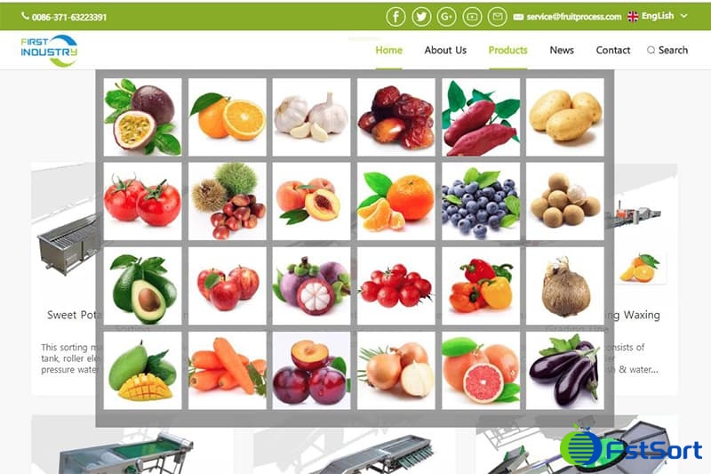 fruit-processing-line fruit-processing-line