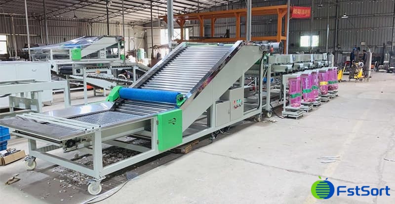 garlic-sorting-packing-machine garlic-sorting-packing-machine