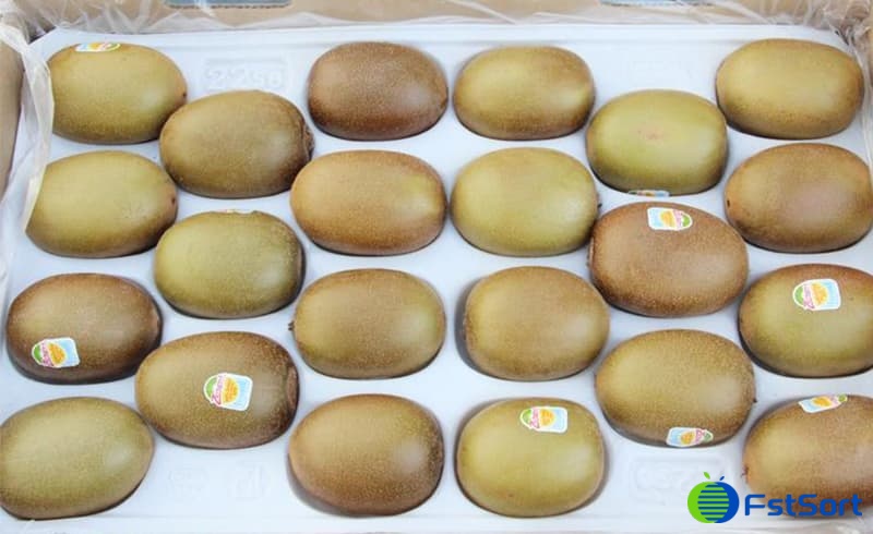 kiwi-fruits kiwi-fruits