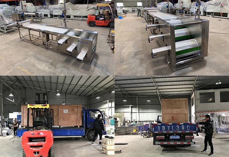 loading-of-blueberry-grader