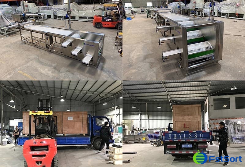 loading-of-blueberry-grader loading-of-blueberry-grader