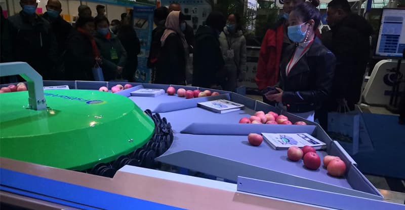 apple-sizing-machine