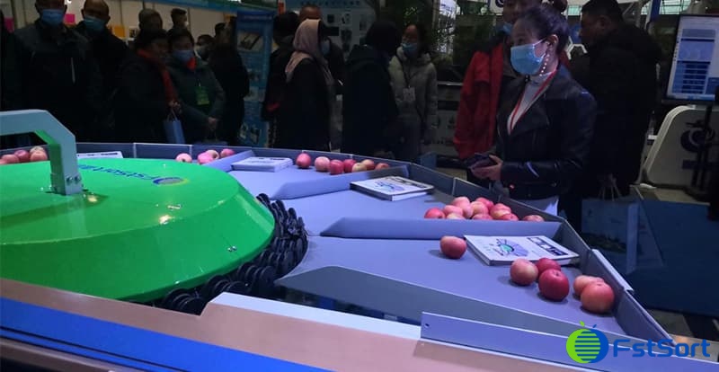 apple-sizing-machine apple-sizing-machine