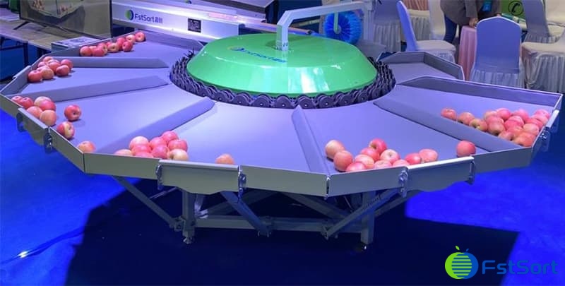 apple-sizer apple-sizer