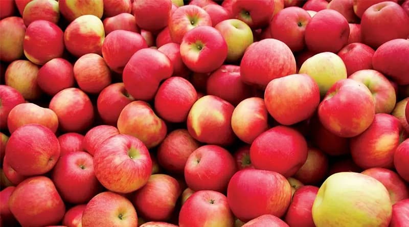 apples-from-south-Africa