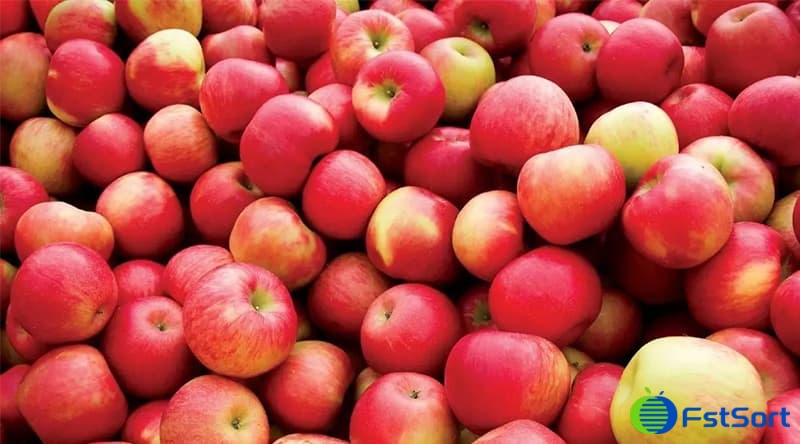 apples-from-south-Africa apples-from-south-Africa