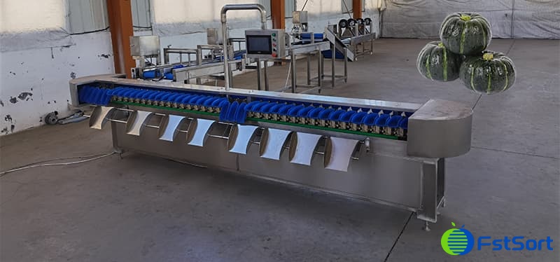 pumpkin-sorting-grading-machine pumpkin-sorting-grading-machine