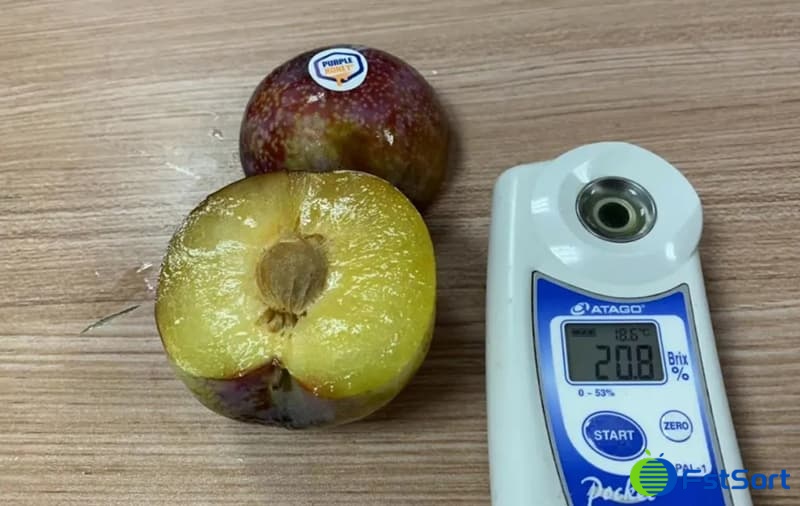 purple-honey-plum purple-honey-plum