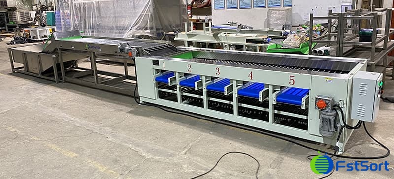 lychee-cleaning-sorting-line lychee-cleaning-sorting-line
