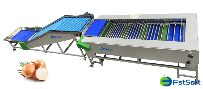 images/1618561800040onion-sorting-machine.png