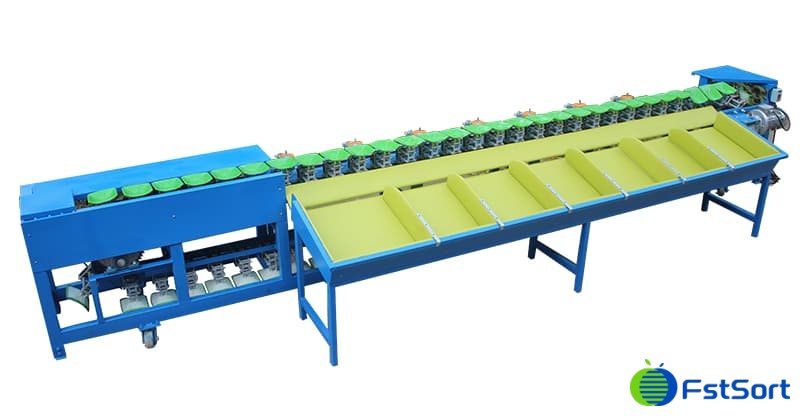 mango-sorting-machine