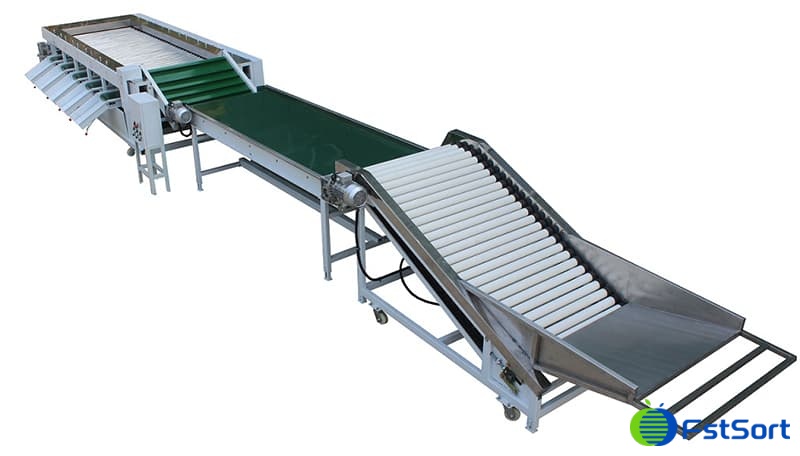 mangosteen-sorter mangosteen-sorter