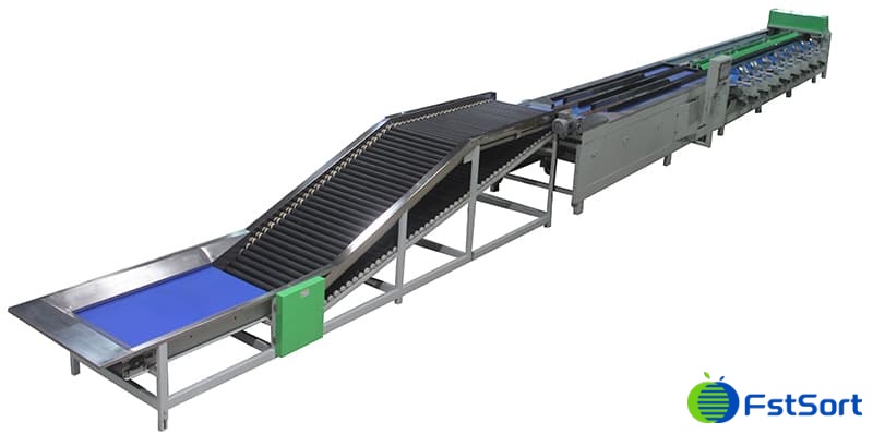 máquina de calibrado de frutas máquina de calibrado de frutas