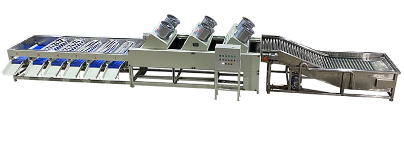 mandarin-cleaning-sorting-line